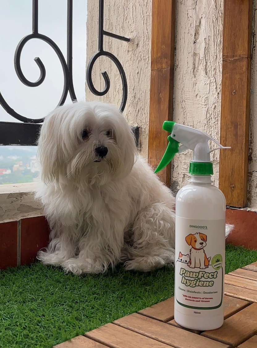 Pawfect Hygiene 500Ml